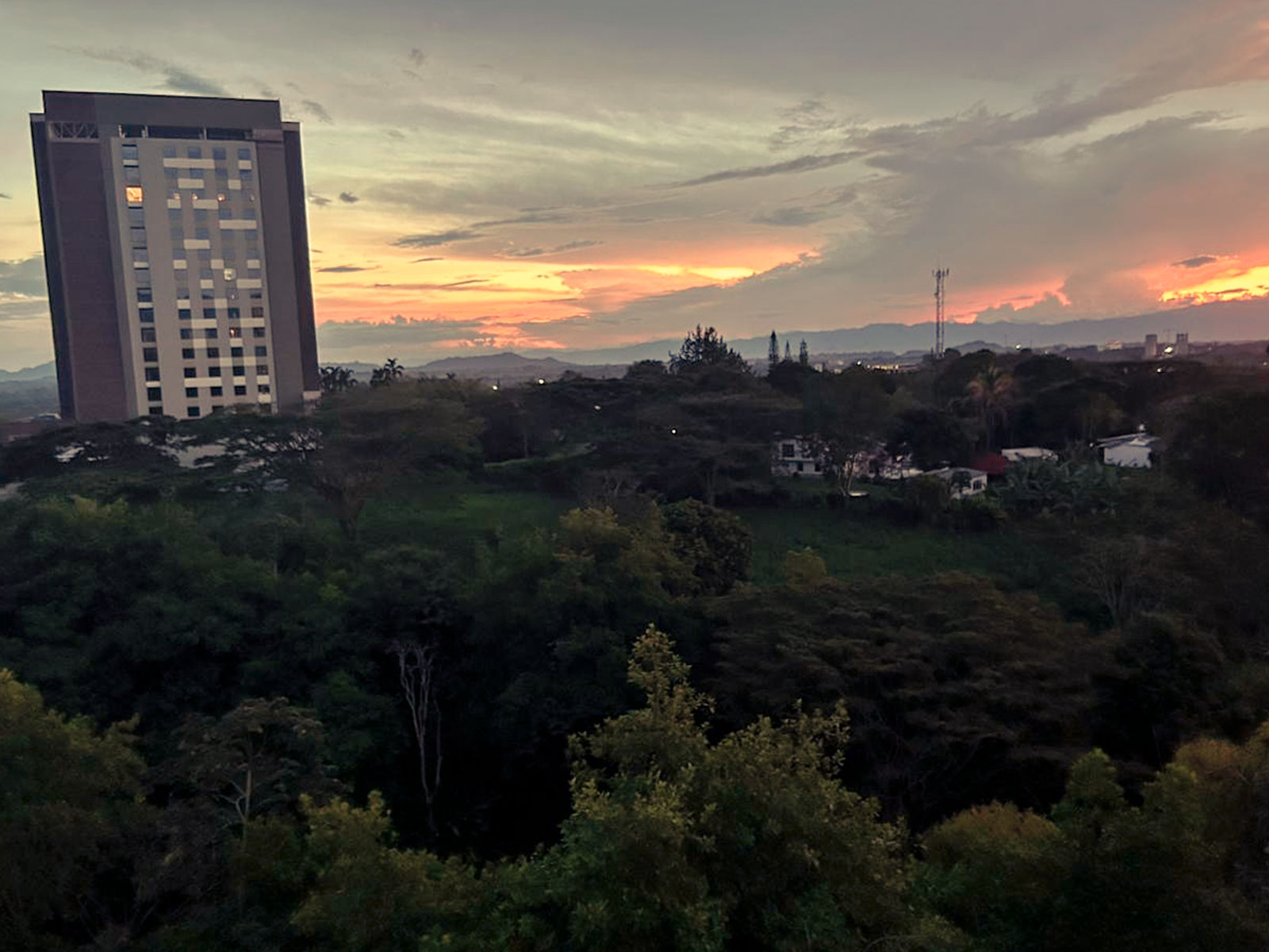 Atardecer-Ivory